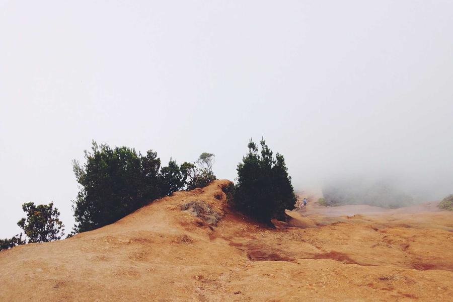 Border Crossing Tips